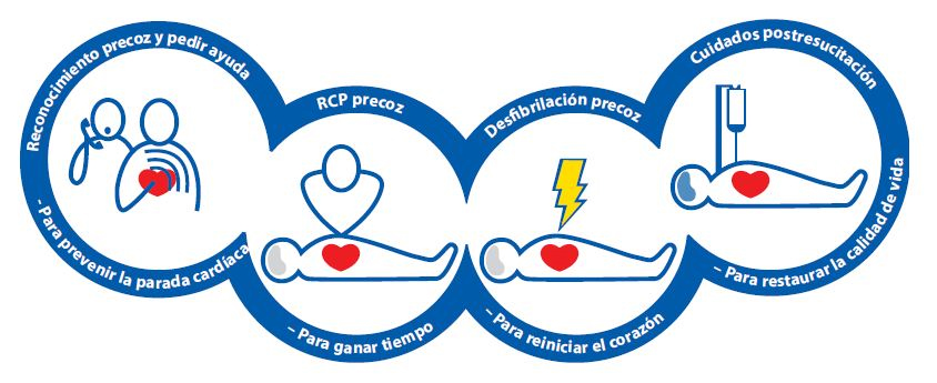 cadena supervivencia